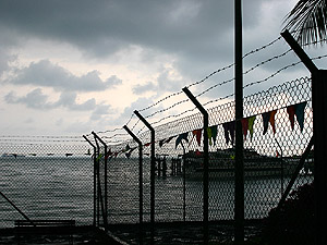 IMG_1589