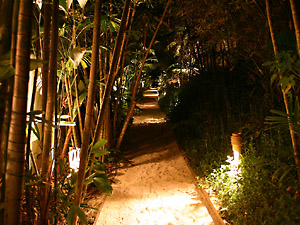 IMG_3973