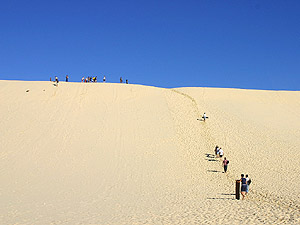 IMG_4562