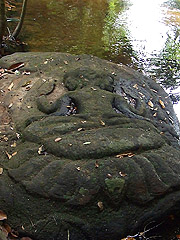 DSCF0350