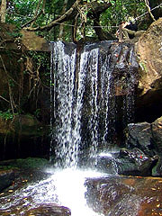 DSCF0352
