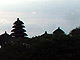 DSC00771