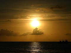 IMG_2519