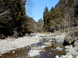 水量少ない養沢川