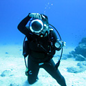 Editor of Underwater Photo Gallery